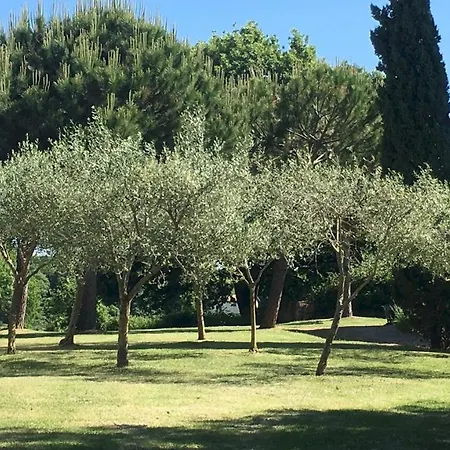 Carmeli 12&2 Emma Villa *